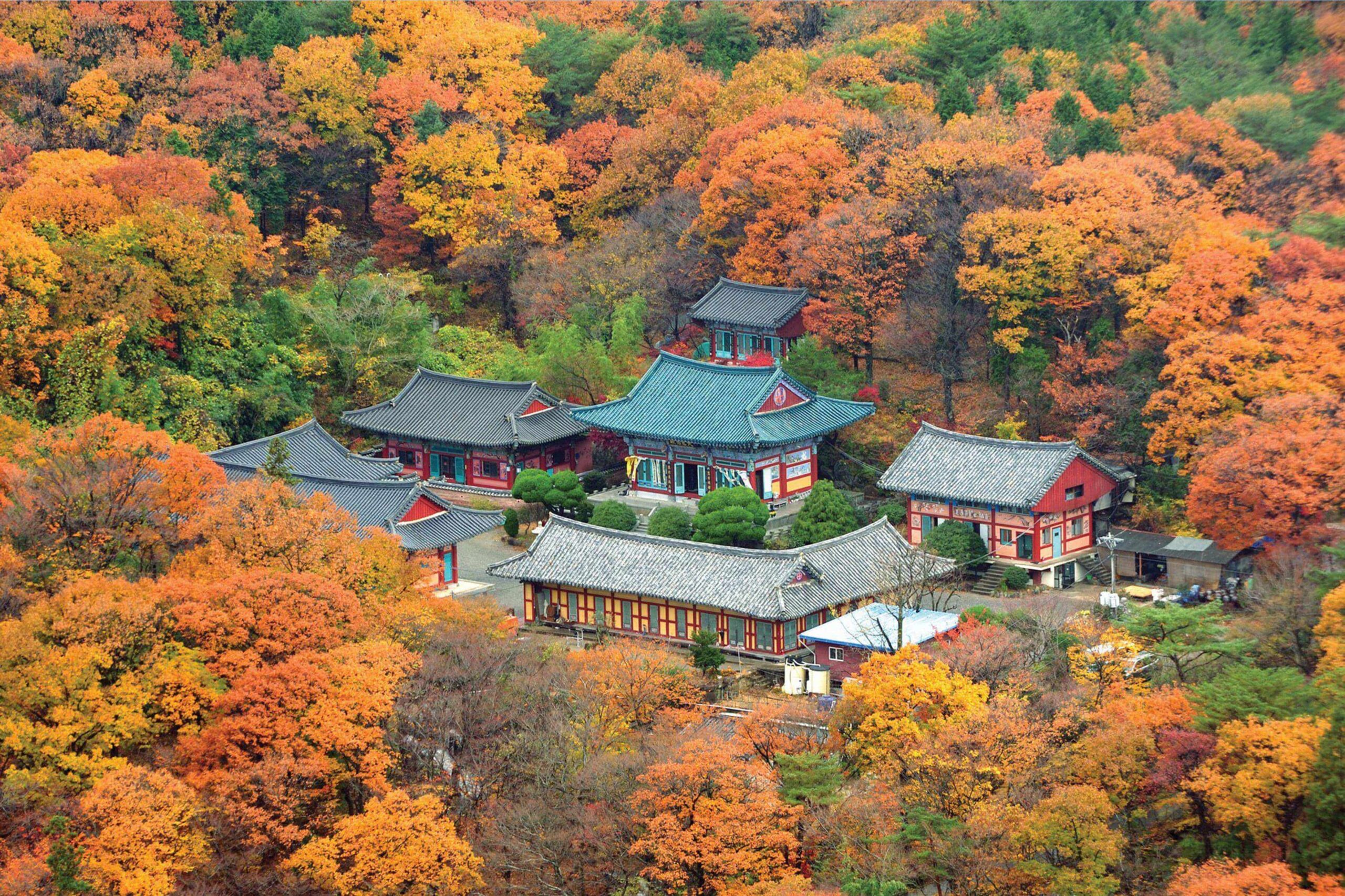 SGN-KOR] Khám Phá Văn Hoá Độc Đáo Tại Busan - 6N5Đ - Nita Travel